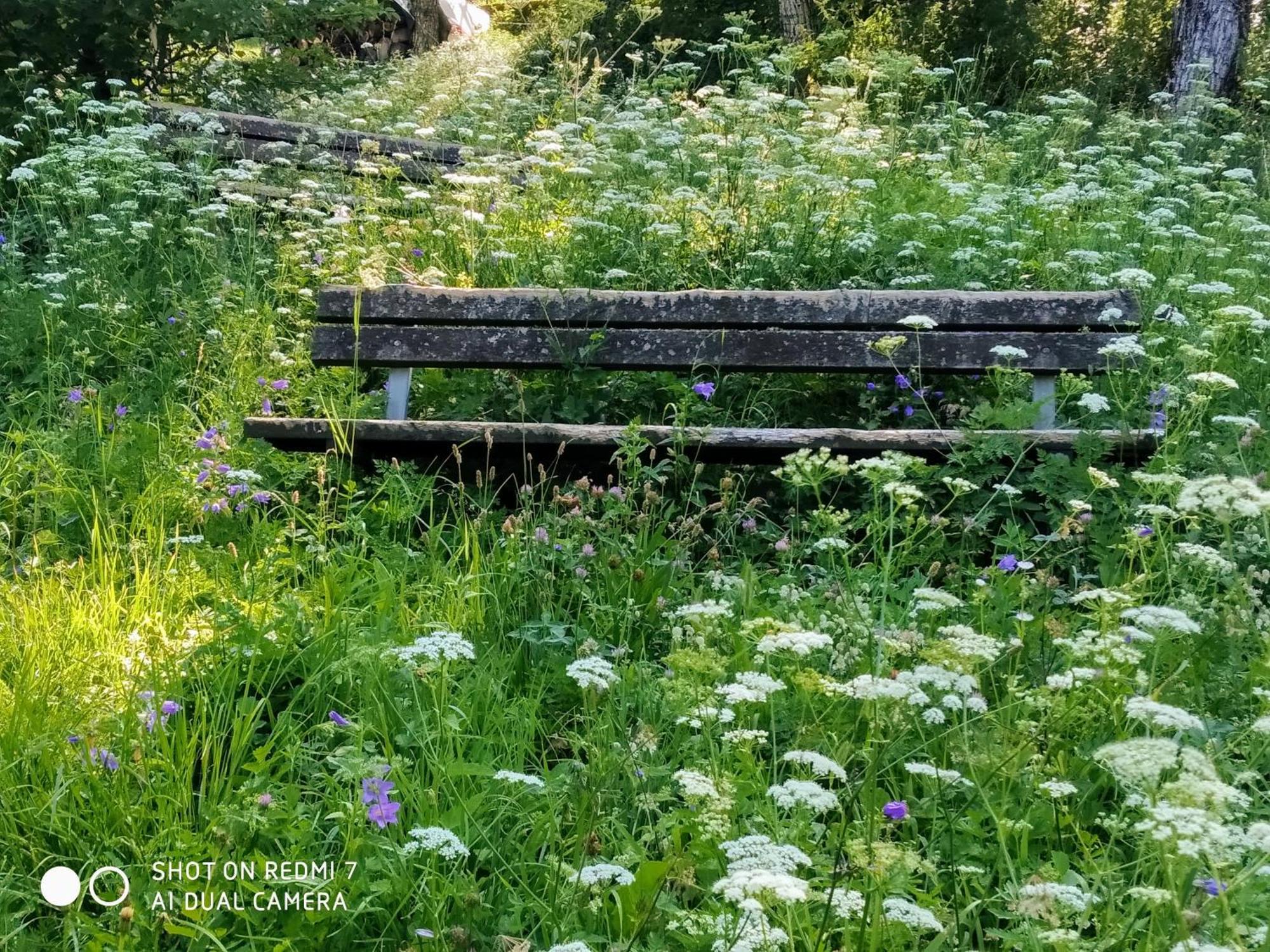 Il Giardino Di Cres Bed & Breakfast Esino Lario Bagian luar foto